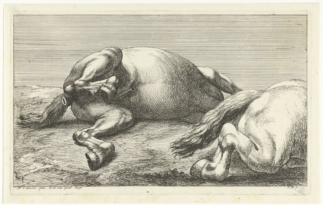 Två fallna hästar, den högra sett från sidan Dead Horses (serietitel) av Jan van Huchtenburg