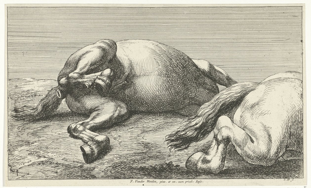 Två fallna hästar, den högra sett från sidan Fallen Horses (serietitel) av Jan van Huchtenburg