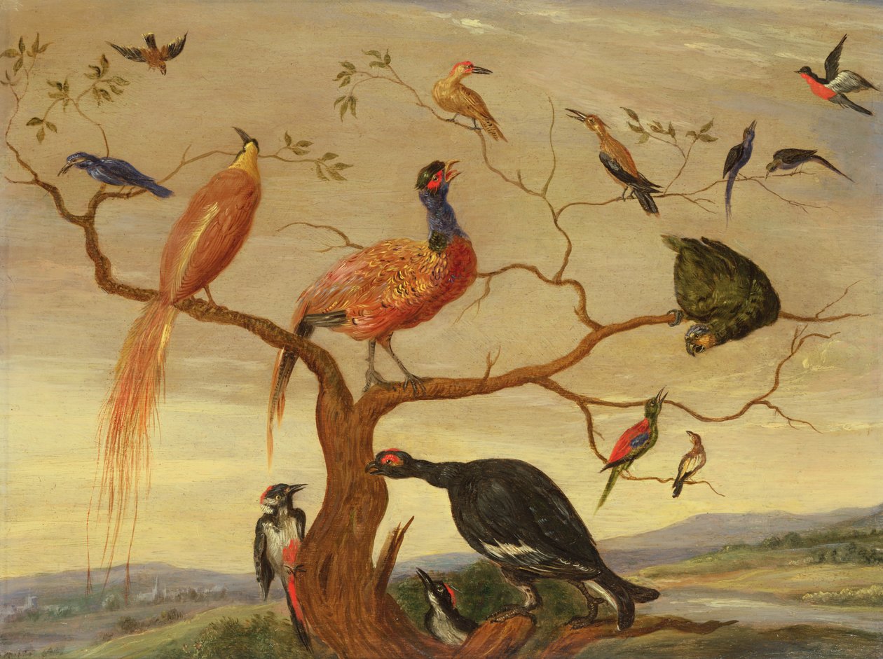 A Concert of Birds (olja på kopparpanel) av Jan van Kessel the Elder