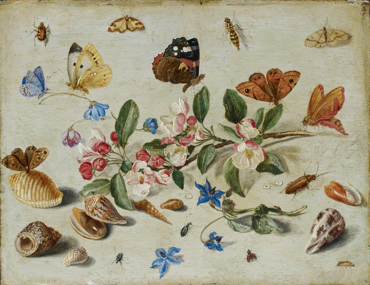 Blommor och insekter, sent 1650-tal eller tidigt 1660-tal av Jan van Kessel