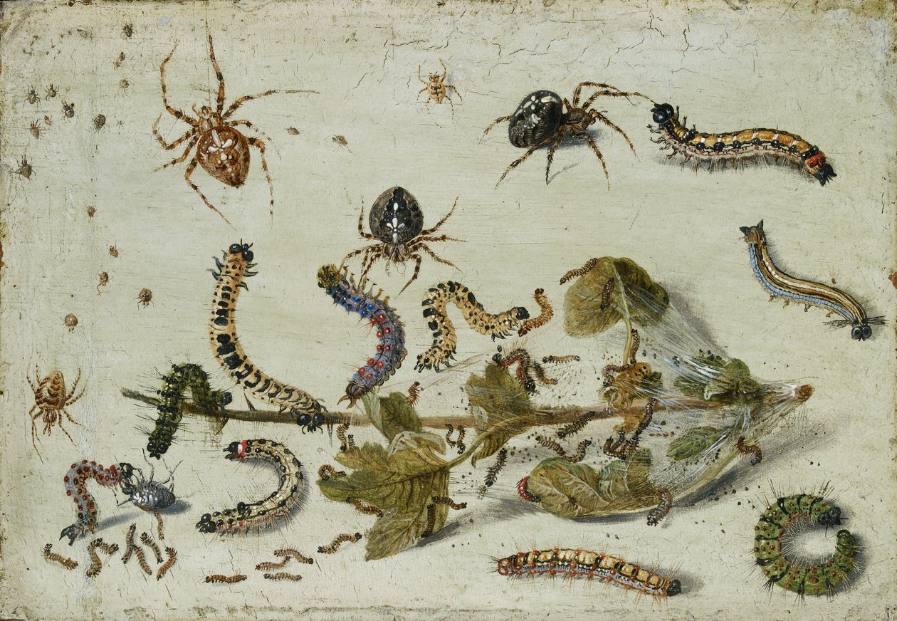 Olika spindlar och larver, med en kvist krusbär, tidigt 1650-tal av Jan van Kessel