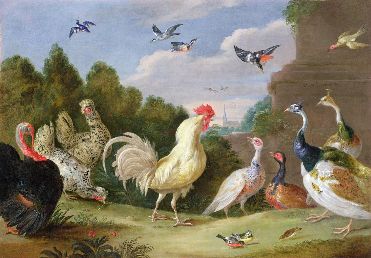 Skogbevuxen landskap med en hane, kalkon, höns och andra fåglar, 1600-talet av Jan van Kessel the Elder