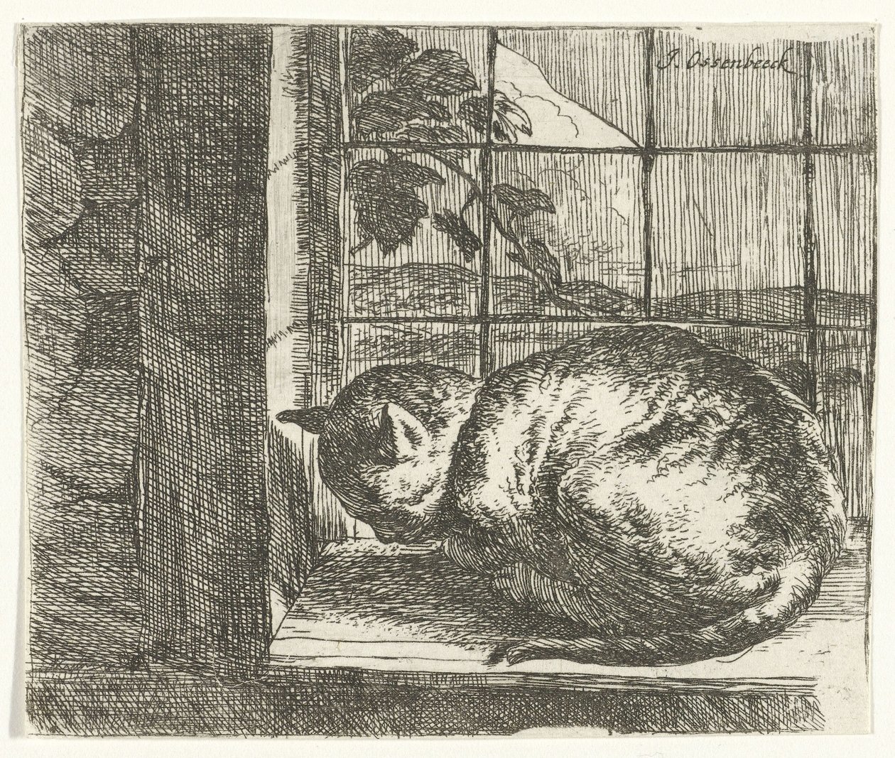 Katt i fönsterkarmen av Jan van Ossenbeeck