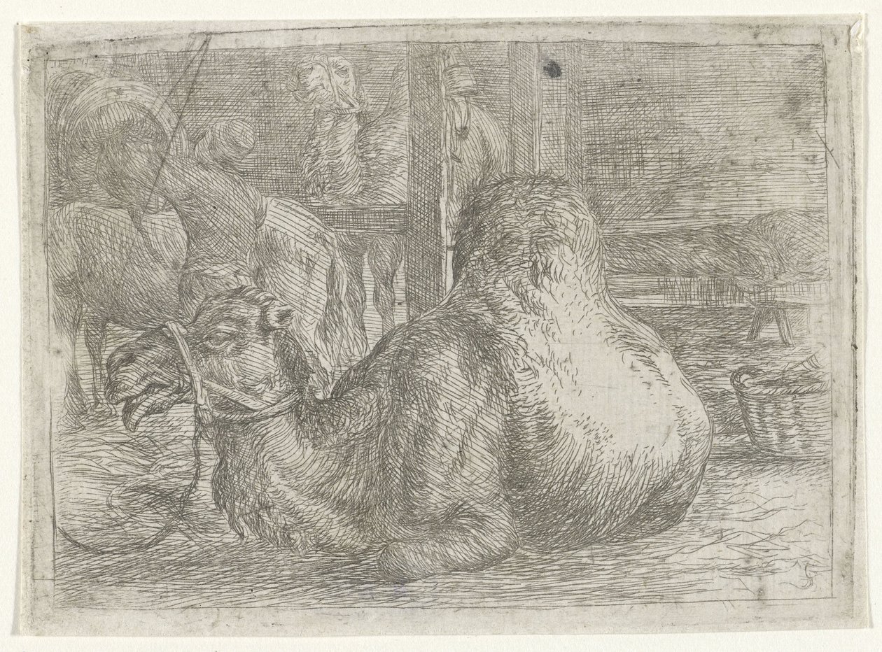 Liggande kamel av Jan van Ossenbeeck