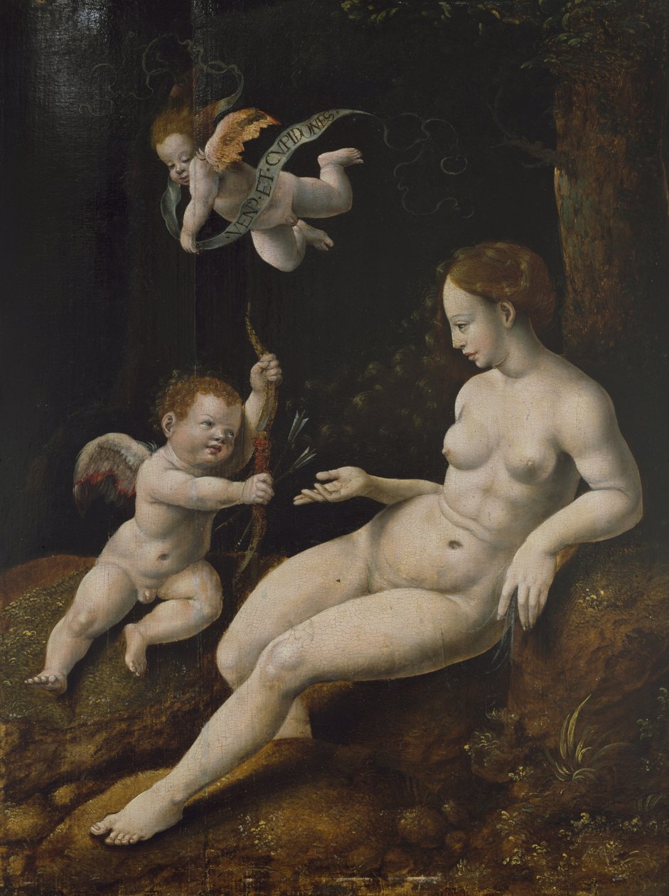 Venus och två amoriner, ca 1528 (olja på panel) av Jan van Scorel