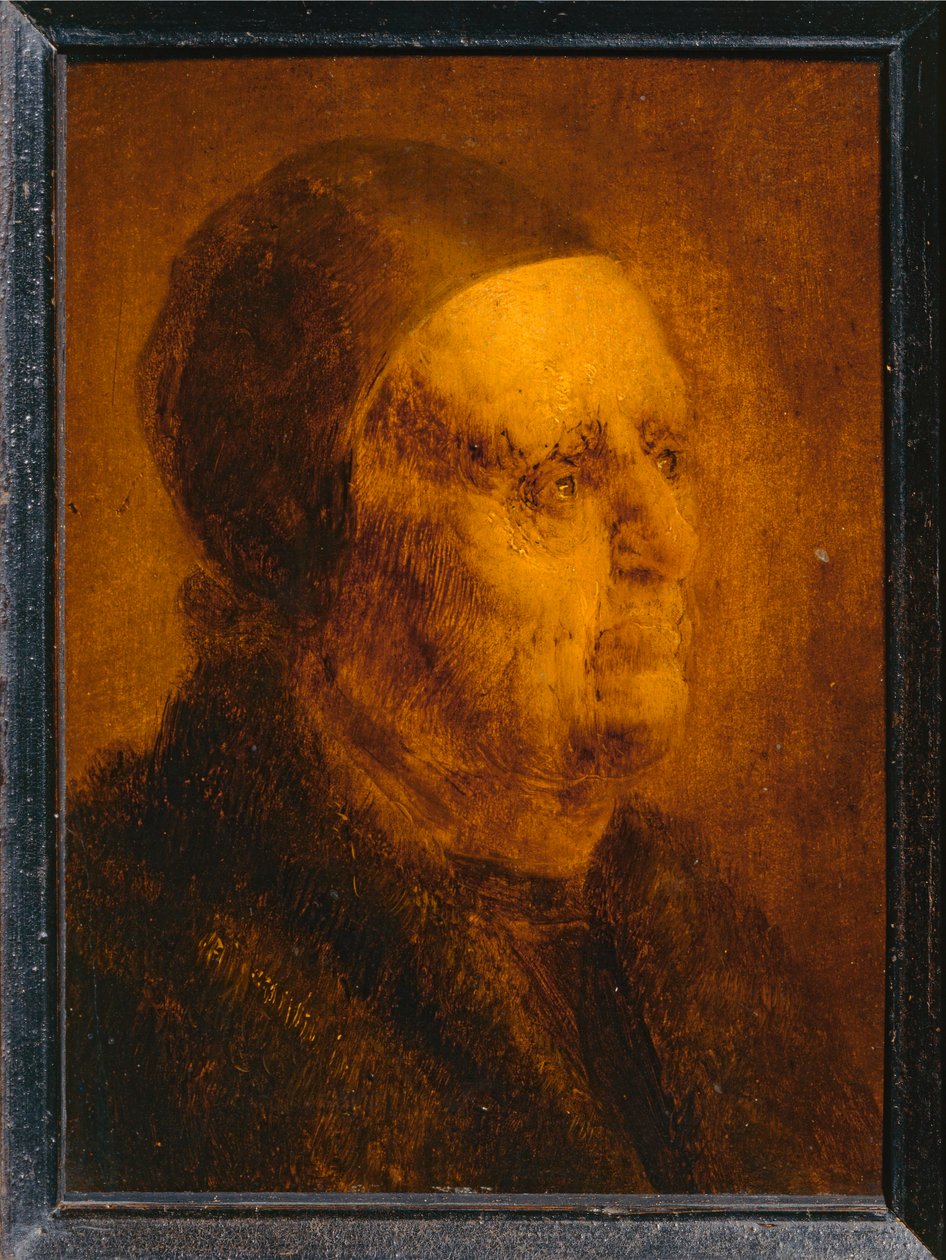 Gubbens studieledare... av Jan van de Venne
