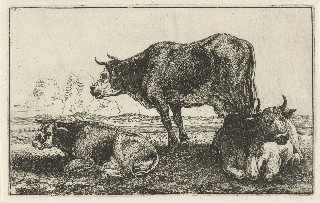 Tre kor Djur (serietitel) Zoographiam (serietitel) av Jan van den Hecke