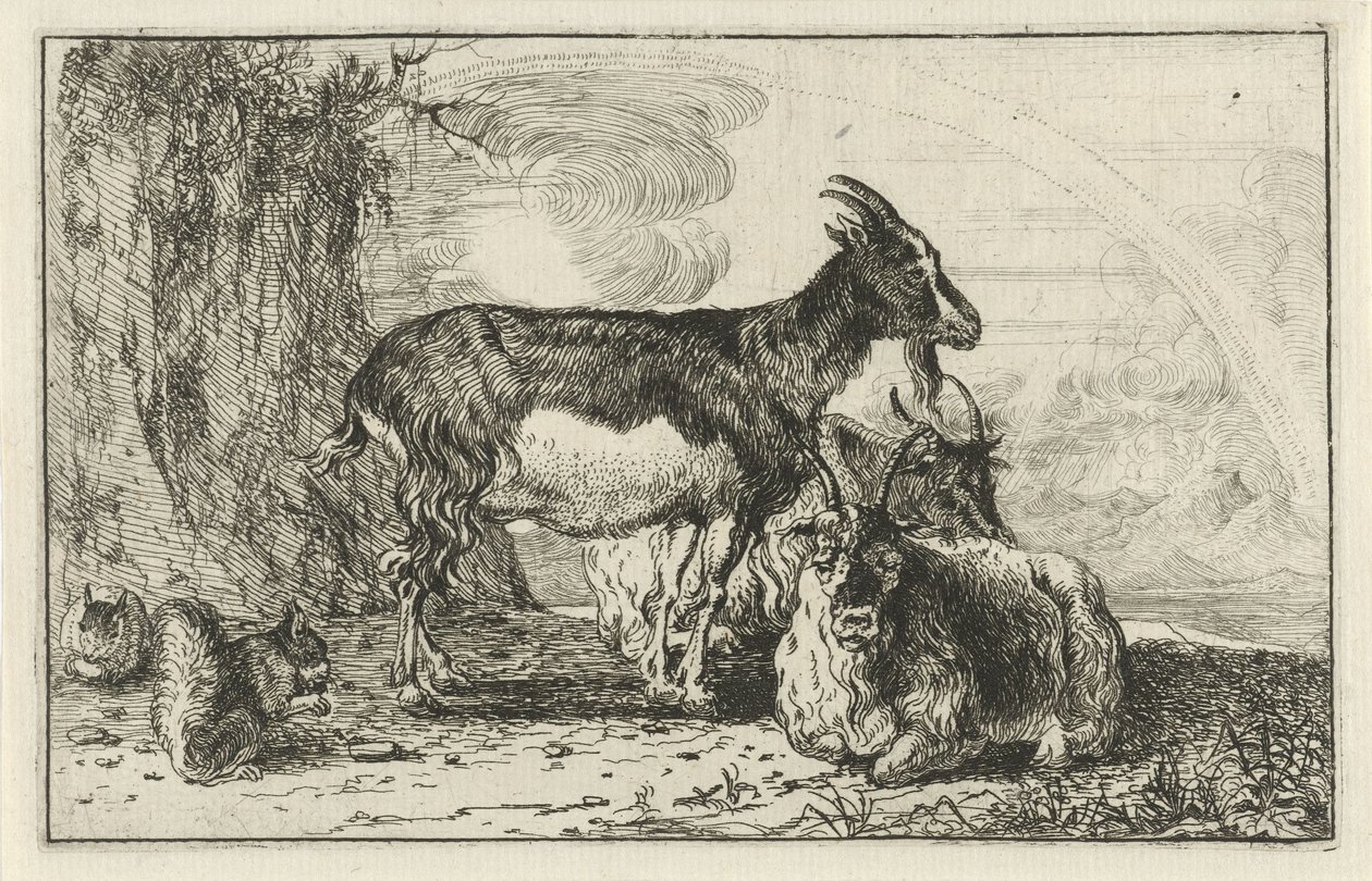 get Djur (serietitel) Zoographiam (serietitel) av Jan van den Hecke