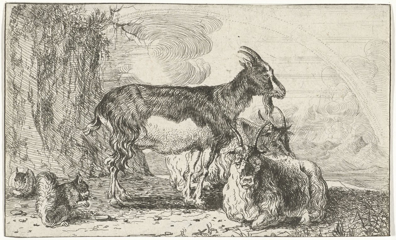 Get Djur (serietitel) Zoographiam (serietitel) av Jan van den Hecke