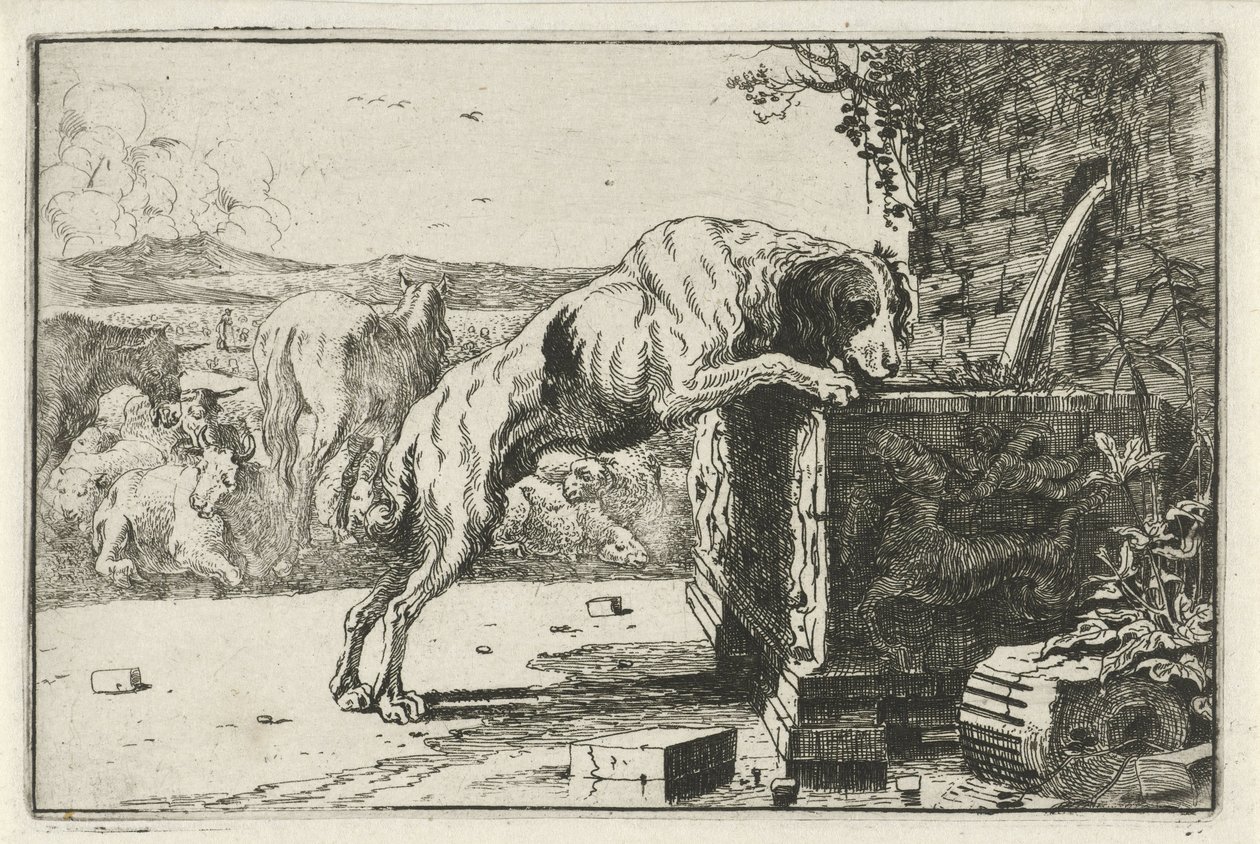 Hund vid en fontän Djur (serietitel) Zoographiam (serietitel) av Jan van den Hecke