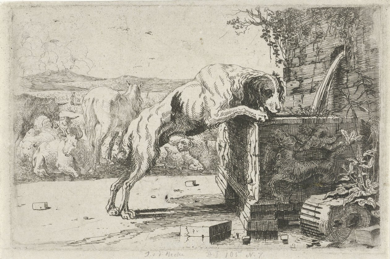 Hund vid en fontän Djur (serietitel) Zoographiam (serietitel) av Jan van den Hecke