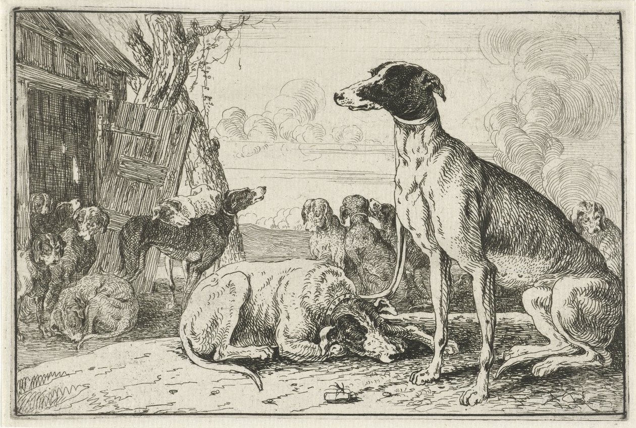 hundkoja Djur (serietitel) Zoographiam (serietitel) av Jan van den Hecke