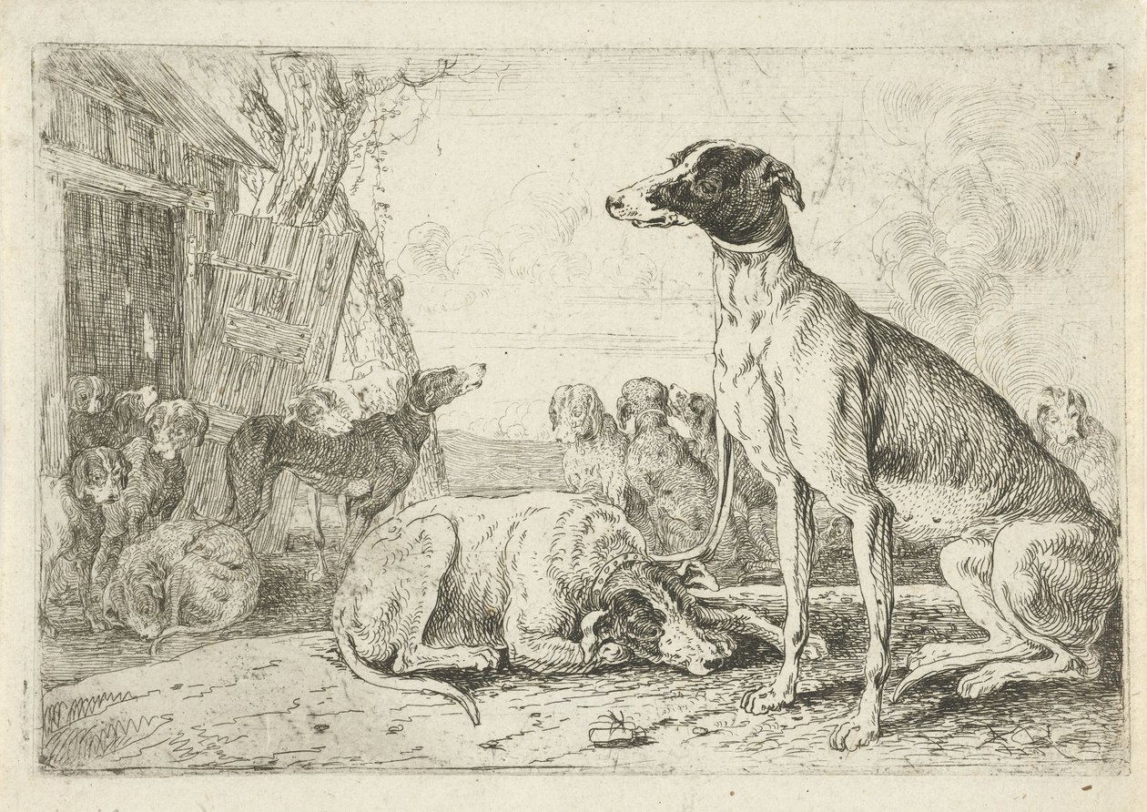 hundkoja Djur (serietitel) Zoographiam (serietitel) av Jan van den Hecke