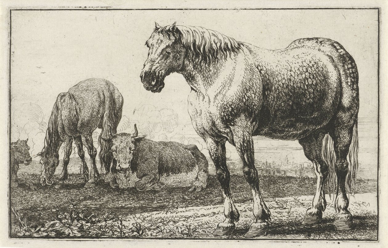 Hästar och kor Djur (serietitel) Zoographiam (serietitel) av Jan van den Hecke