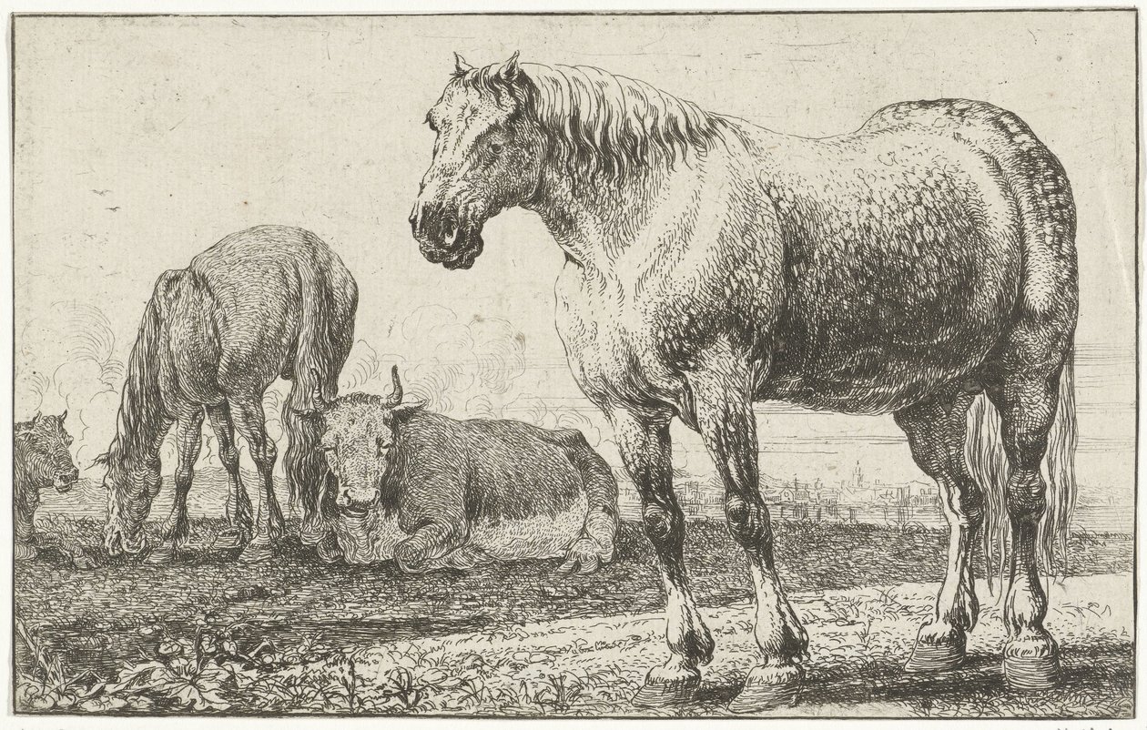 Hästar och kor Djur (serietitel) Zoographiam (serietitel) av Jan van den Hecke
