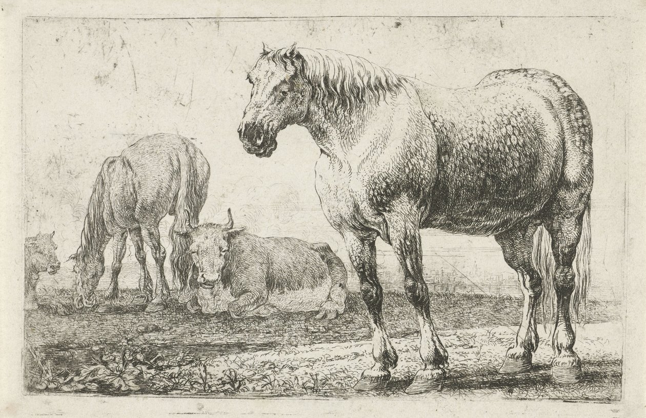 Hästar och kor Djur (serietitel) Zoographiam (serietitel) av Jan van den Hecke