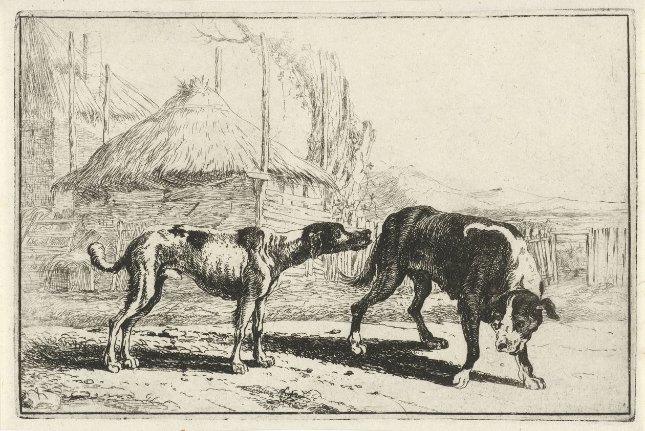 Man och kvinna Djur (serietitel) Zoographiam (serietitel) av Jan van den Hecke