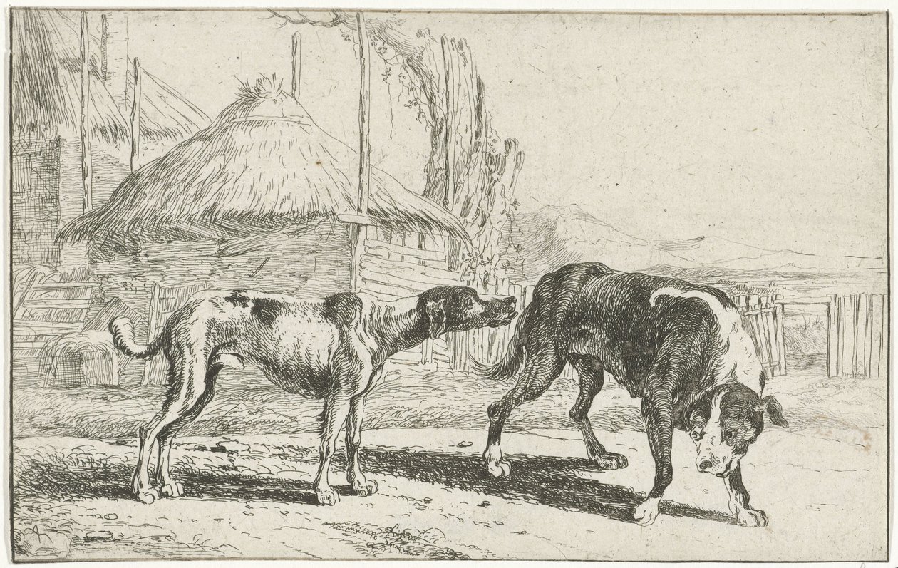 Man och kvinna Djur (serietitel) Zoographiam (serietitel) av Jan van den Hecke