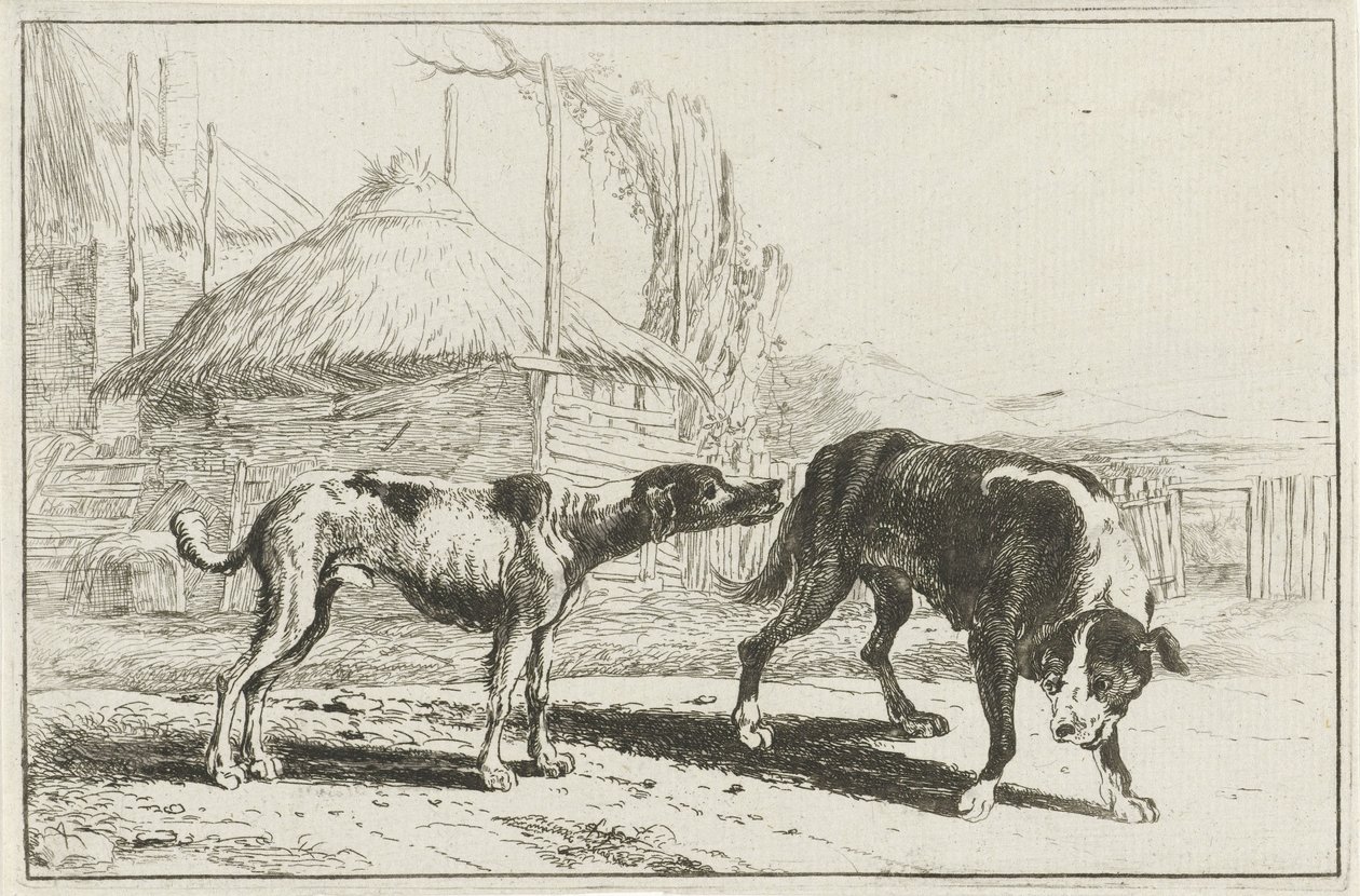 Man och kvinna Djur (serietitel) Zoographiam (serietitel) av Jan van den Hecke