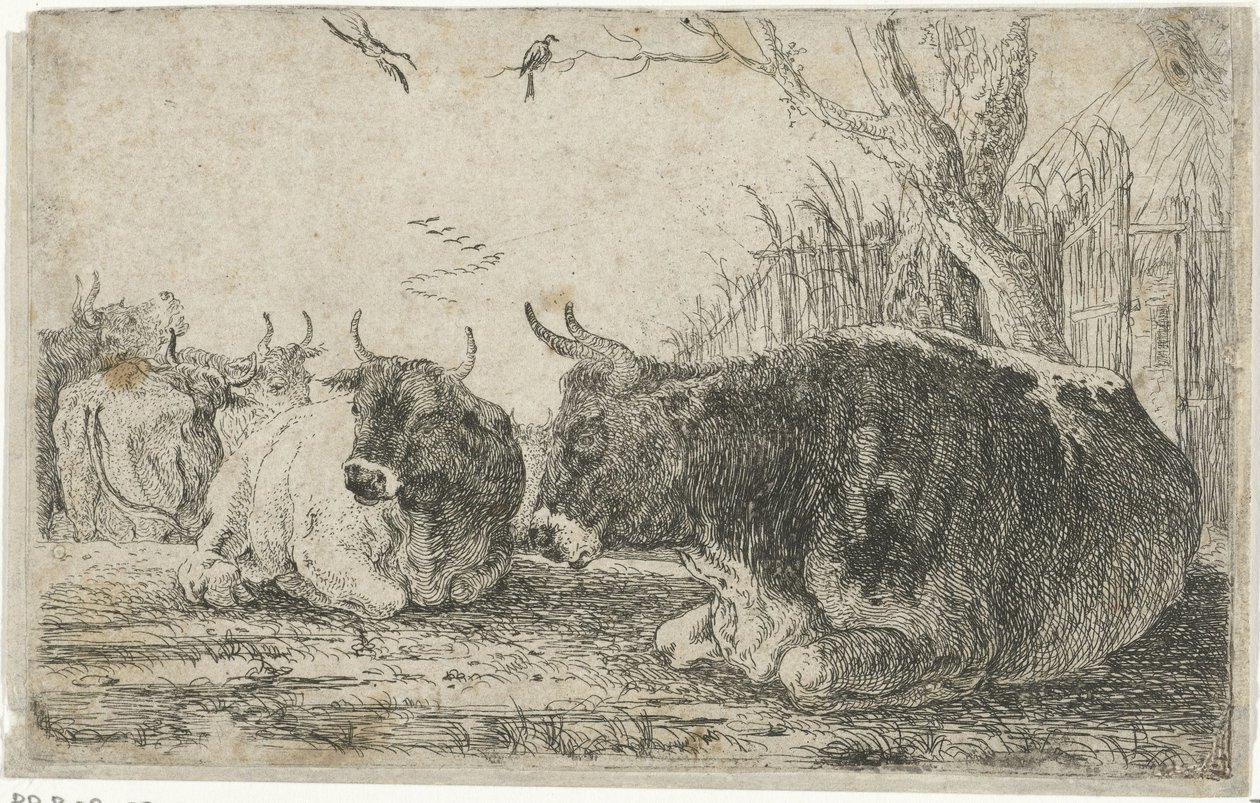 vilande kor Djur (serietitel) Zoographiam (serietitel) av Jan van den Hecke