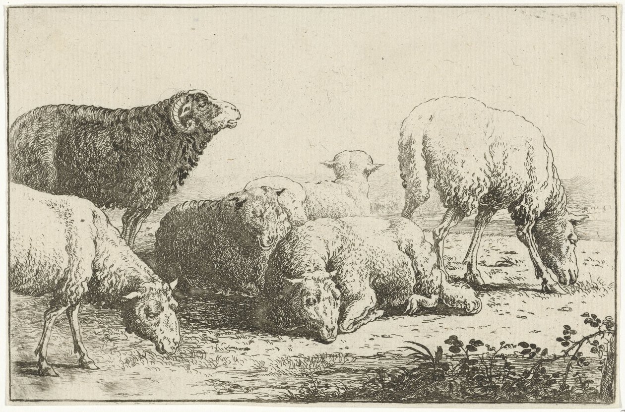 Får Djur (serietitel) Zoographiam (serietitel) av Jan van den Hecke