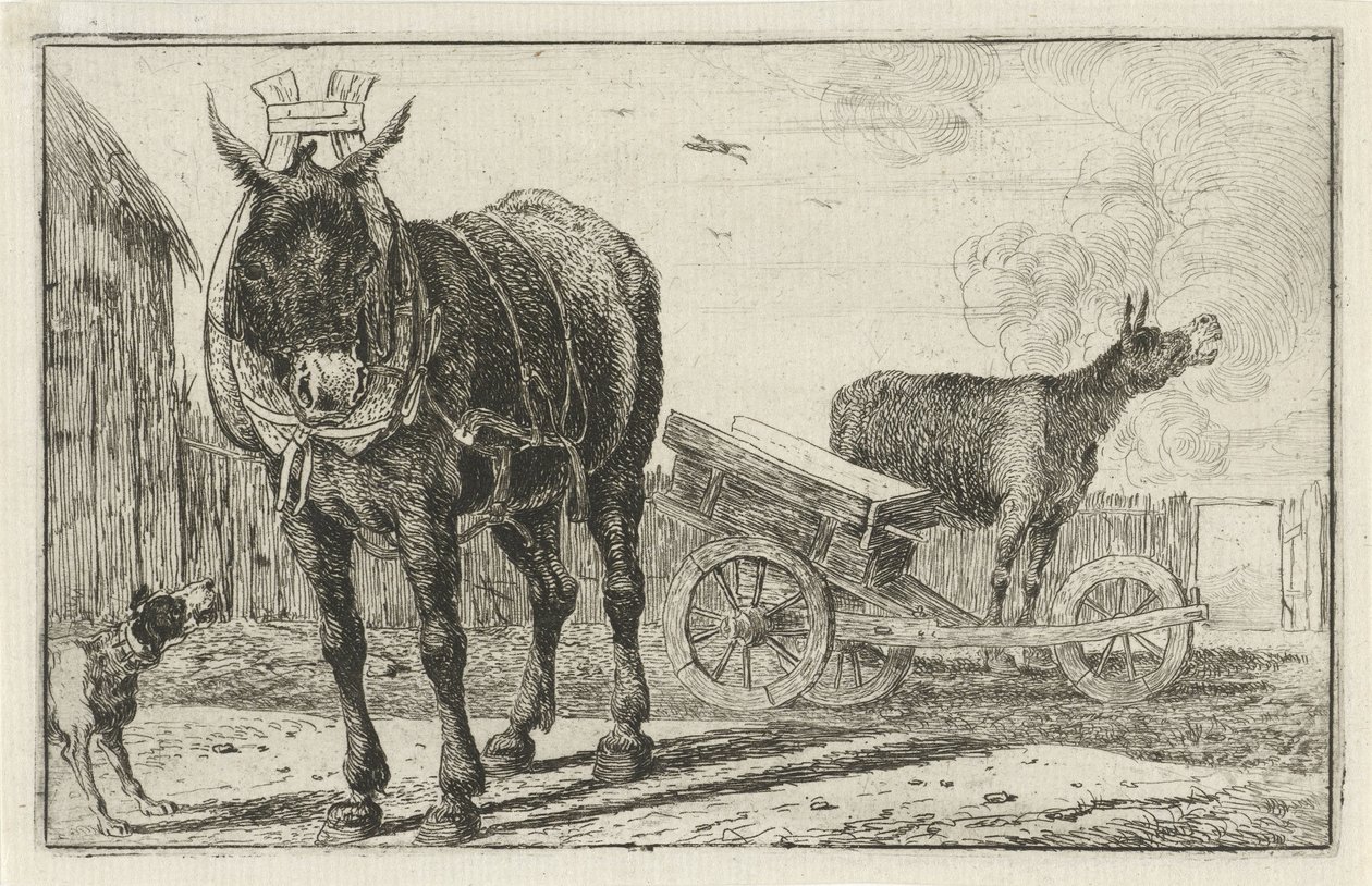 swedish av Jan van den Hecke
