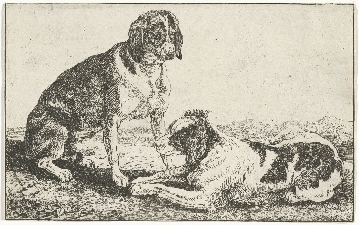 Två vilande hundar Djur (serietitel) Zoographiam (serietitel) av Jan van den Hecke