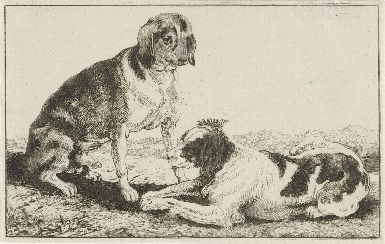 Två vilande hundar Djur (serietitel) Zoographiam (serietitel) av Jan van den Hecke