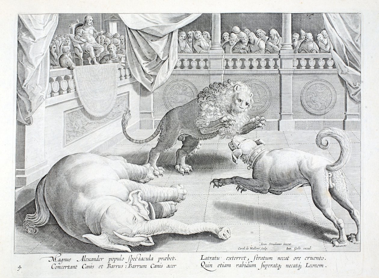 Alexander den store sätter upp ett skådespel, ett lejon, en hund och en elefant kamp, illustration från 