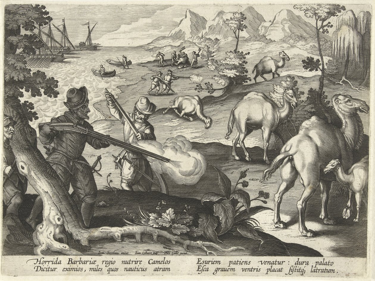 Sjömän i ett hemskt barbarland dödar kameler med musköter för att lindra deras hunger, illustration från 