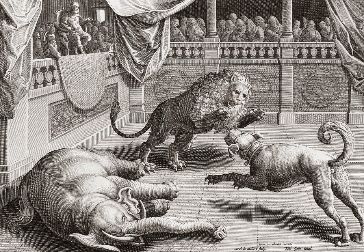 Alexander den store tittar på djur slåss, 1500-talet av Jan van der 1523 1605 after Straet