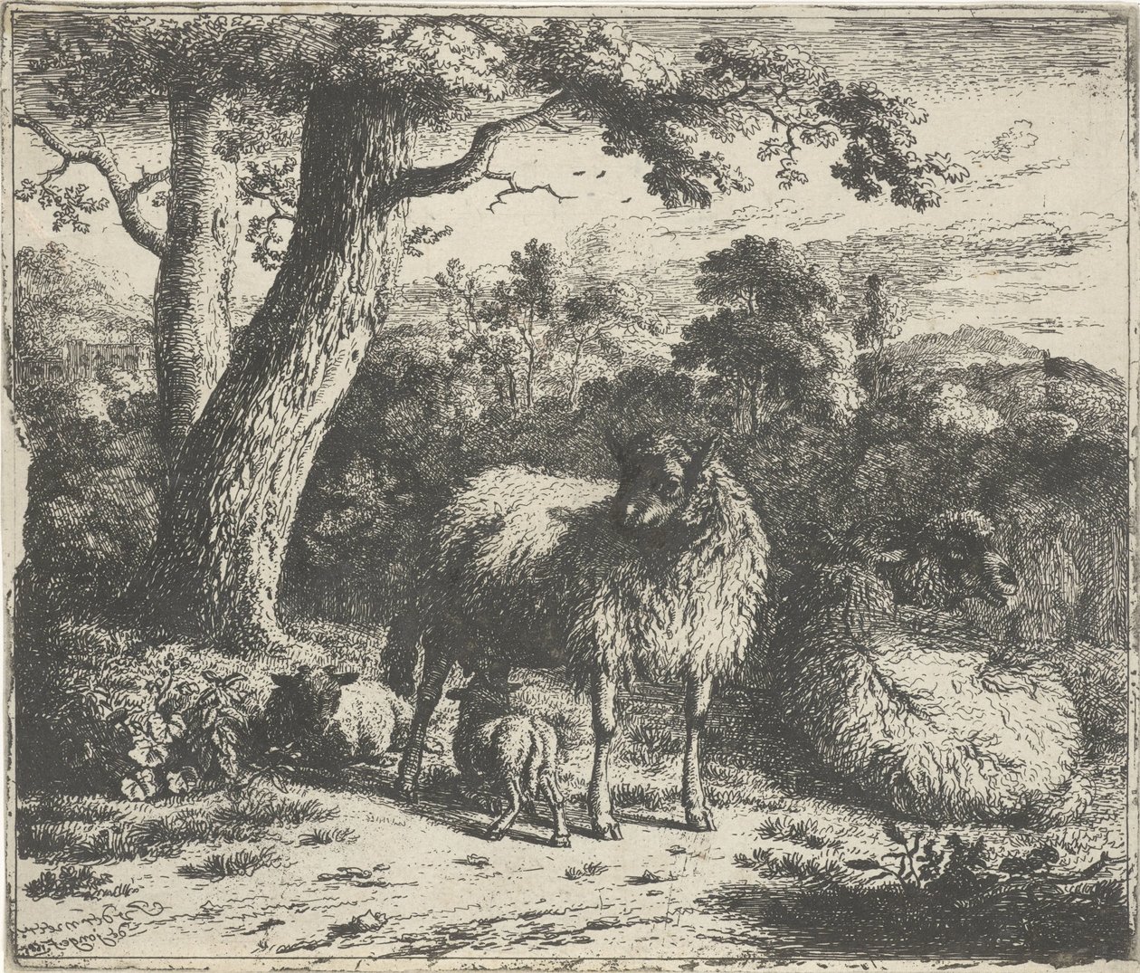 Stående får med två lamm av Jan van der Meer (II)