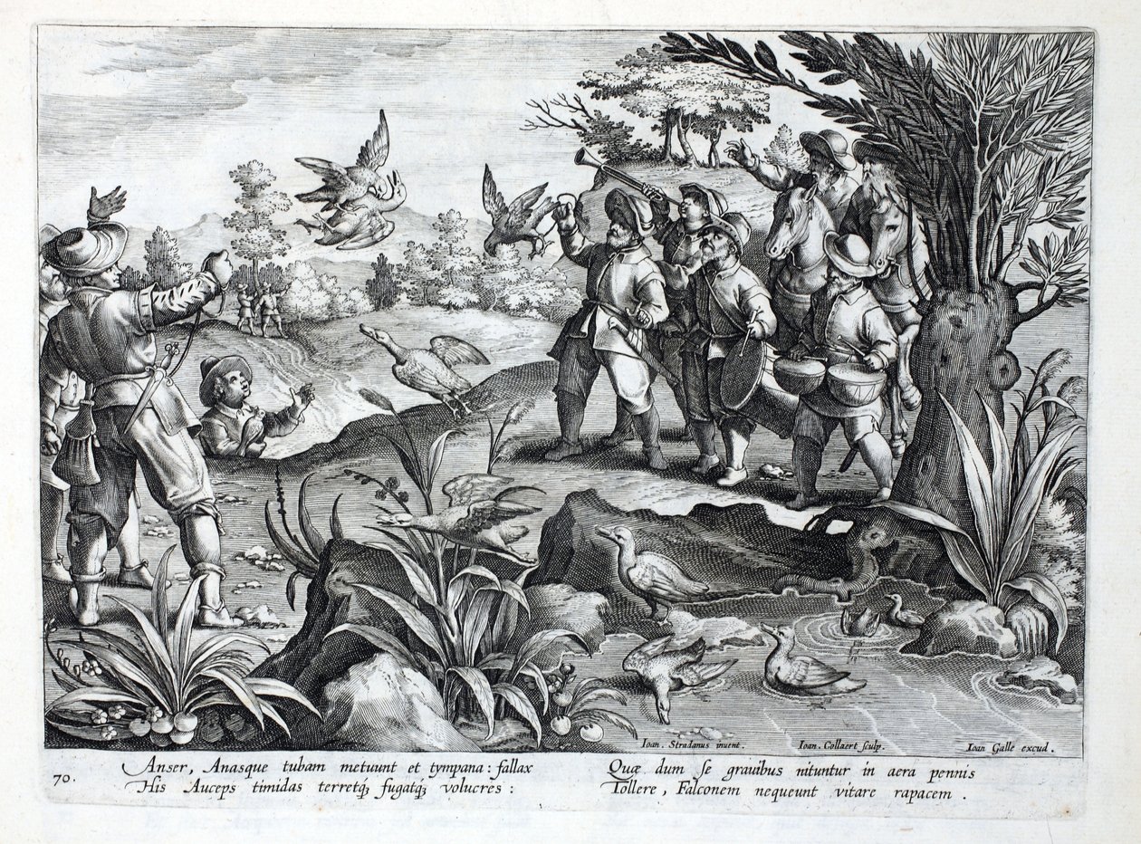 Jägare som använder falkar för att jaga gäss, illustration från "Venationes, Ferarum, Avium, Piscium" (av jakt: vilda djur, fåglar, fiskar), graverad av Jan Collaert (1566-1628), pub. av Phillipus Gallaeus, A av Jan van der Straet