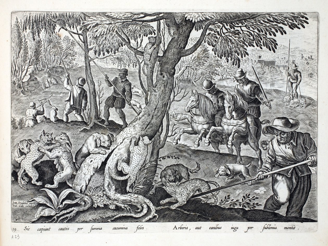 Jaktkatter med hundar, illustration från 
