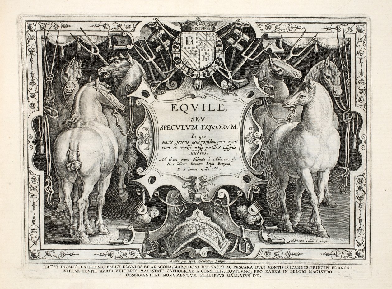 Illustration från "Venationes, Ferarum, fåglar, fisk" (av jakt: vilda djur, fåglar, fiskar), graverad av Jan Collaert (1566-1628), pub. av Phillipus Gallaeus, Amsterdam av Jan van der Straet