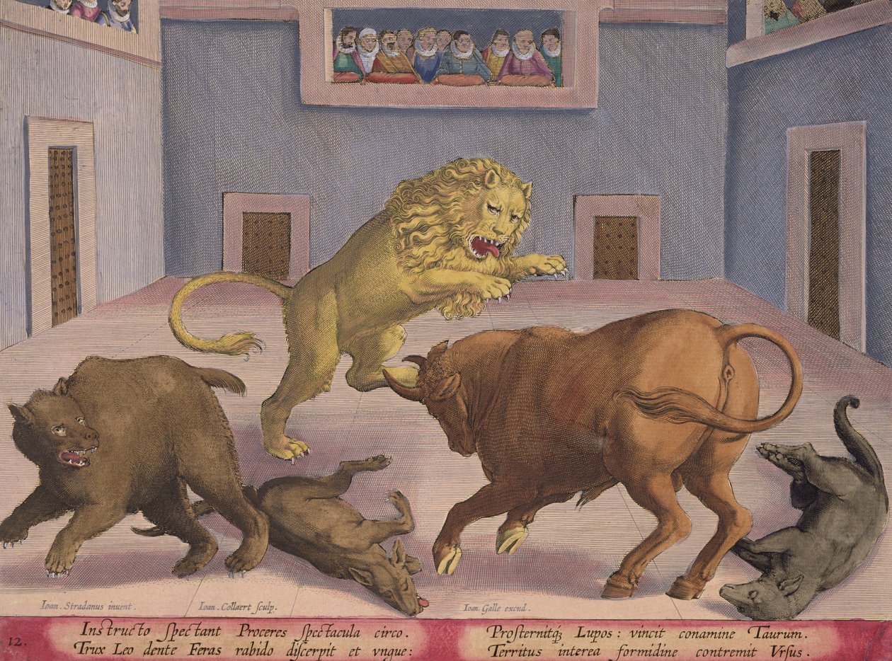 Adelsmän ser Combat of Wild Beasts in an Indoor Circus, skylt 12 från 