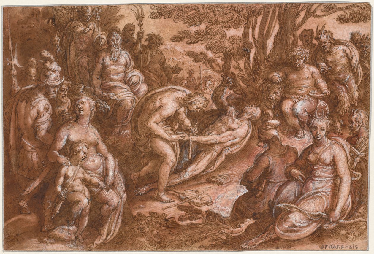 Marsyas flågning av Jan van der Straet, called Johannes Stradanus