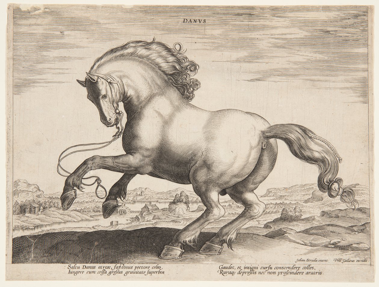 En dansk häst, från den fjärde uppsättningen av "Equile Joannis Austriaci" av Jan van der Straet, called Stradanus