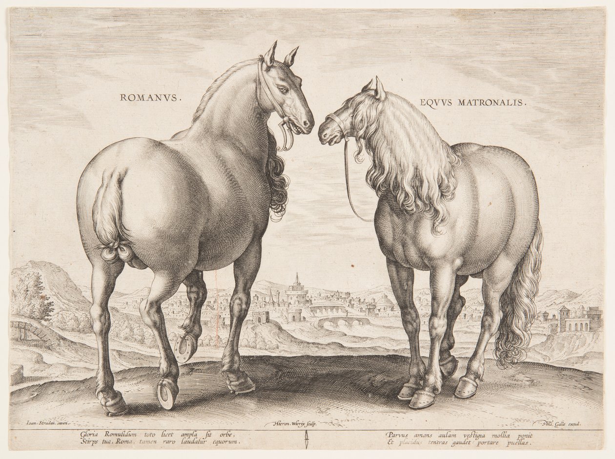 En romersk häst, från den första uppsättningen av "Equile Joannis Austriaci" av Jan van der Straet, called Stradanus