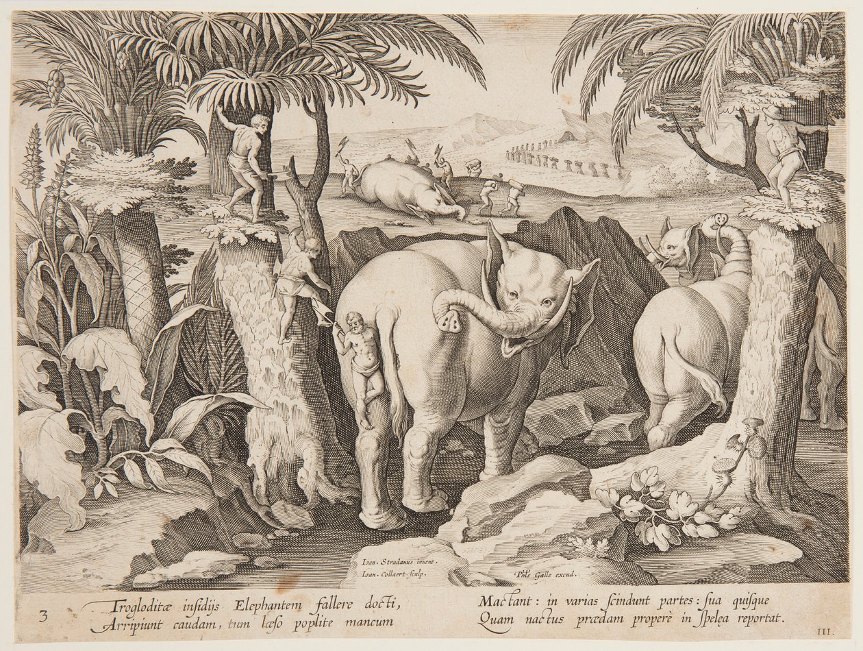 Cavemen Chasing Elephants, tallrik 3 från serien Hunting of Wild Animals, Birds and Fish av Jan van der Straet, called Stradanus