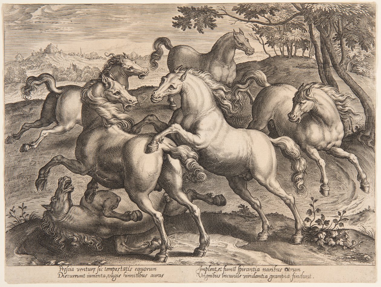 Fighting Horses, från den fjärde uppsättningen av "Equile Joannis Austriaci" av Jan van der Straet, called Stradanus