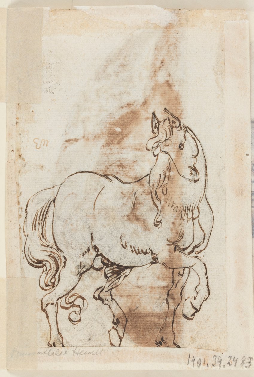 Sida i en ritbok; Studie för målning av S:t Magdalen; En hingst av Jan van der Straet, called Stradanus