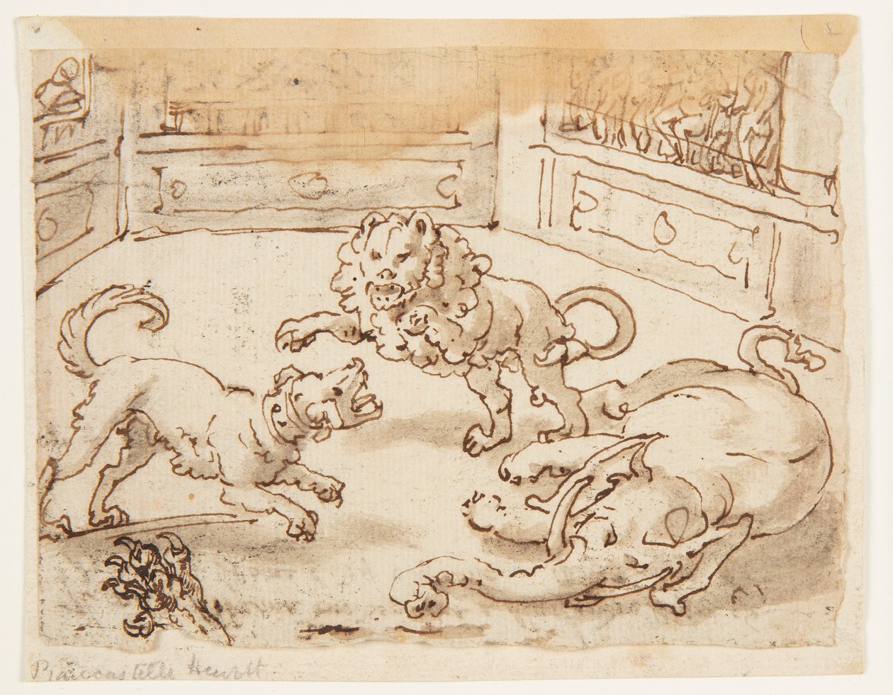 Recto: Alexander den store tittar på en kamp mellan sin hund och en elefant och ett lejon; Verso: Verso: inskription som hänför sig till Plinius den äldres naturhistoria, bok 8, kap. 61 av Jan van der Straet, called Stradanus