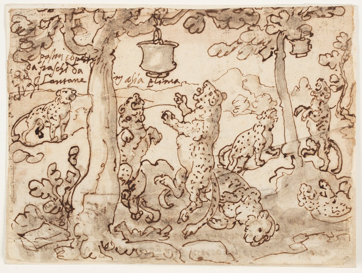 Panterfällan av Jan van der Straet, called Stradanus