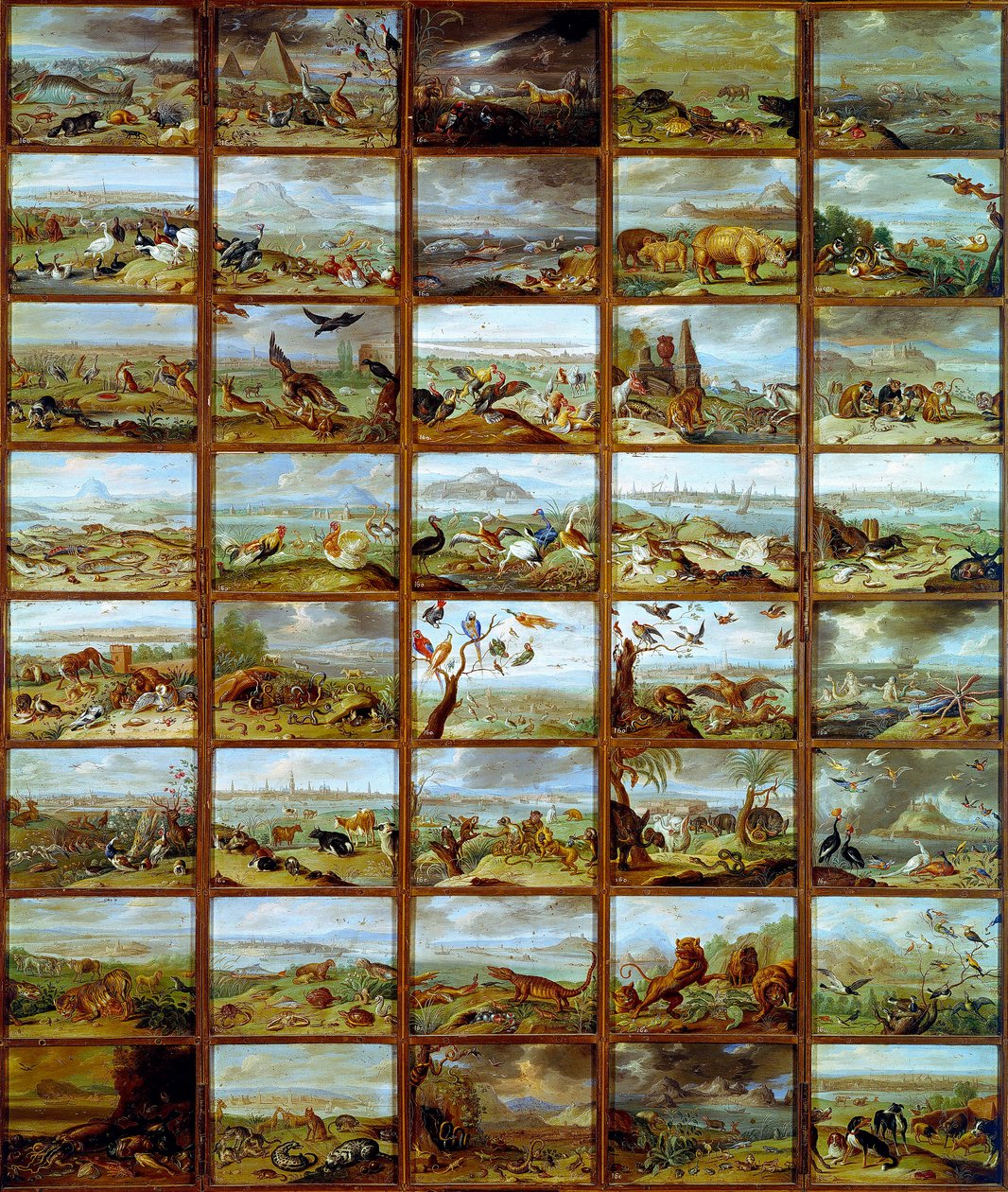 Djur Tabell som visar fack som motsvarar olika djurarter. Målning av Jan Van Kessel (1626-1679) 1600-talets Madrid, Pradomuseet av Jan van the Elder Kessel