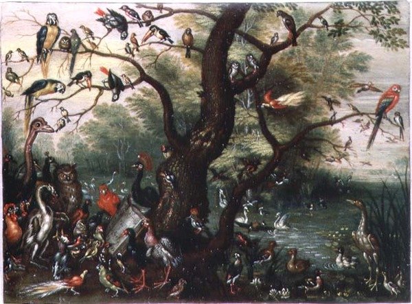 Concert of Birds (olja på koppar) av Jan van the Elder Kessel