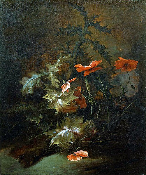 Tistlar och vallmo (olja på duk) av Jan van the Elder Kessel