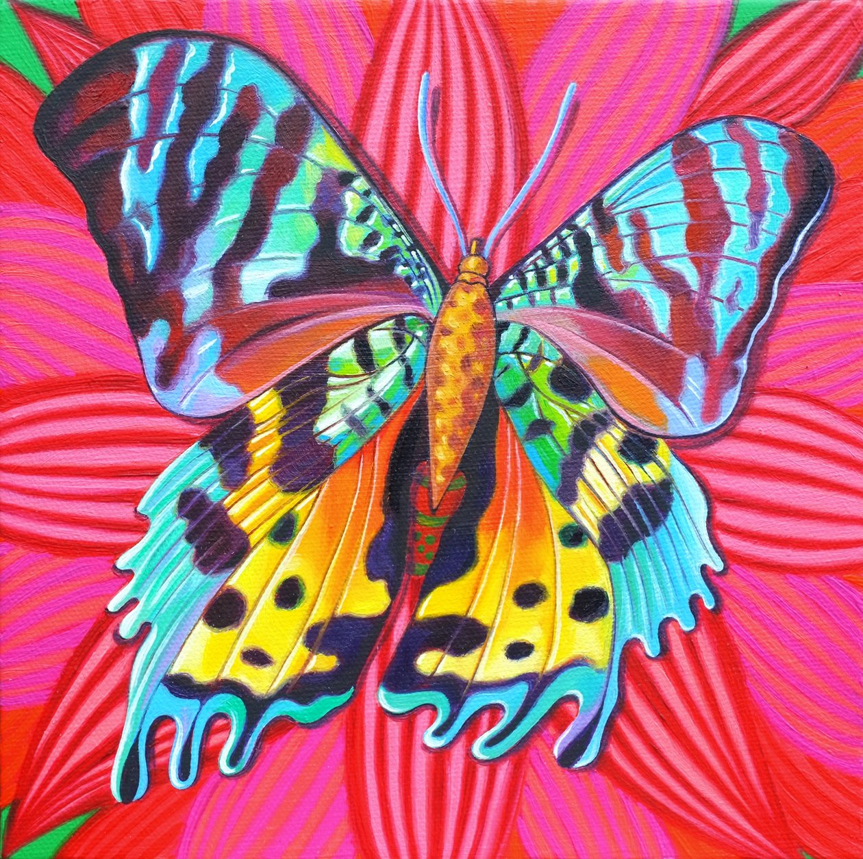 Sunset Moth, 2014, av Jane Tattersfield