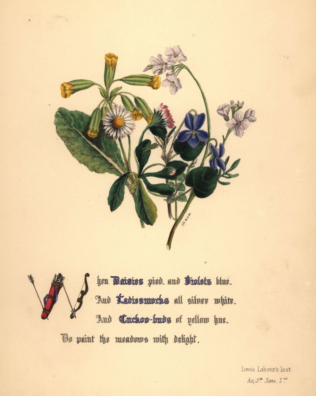 Tusenskönor, violer, dammsugare och gökblomster av Jane Elizabeth Giraud