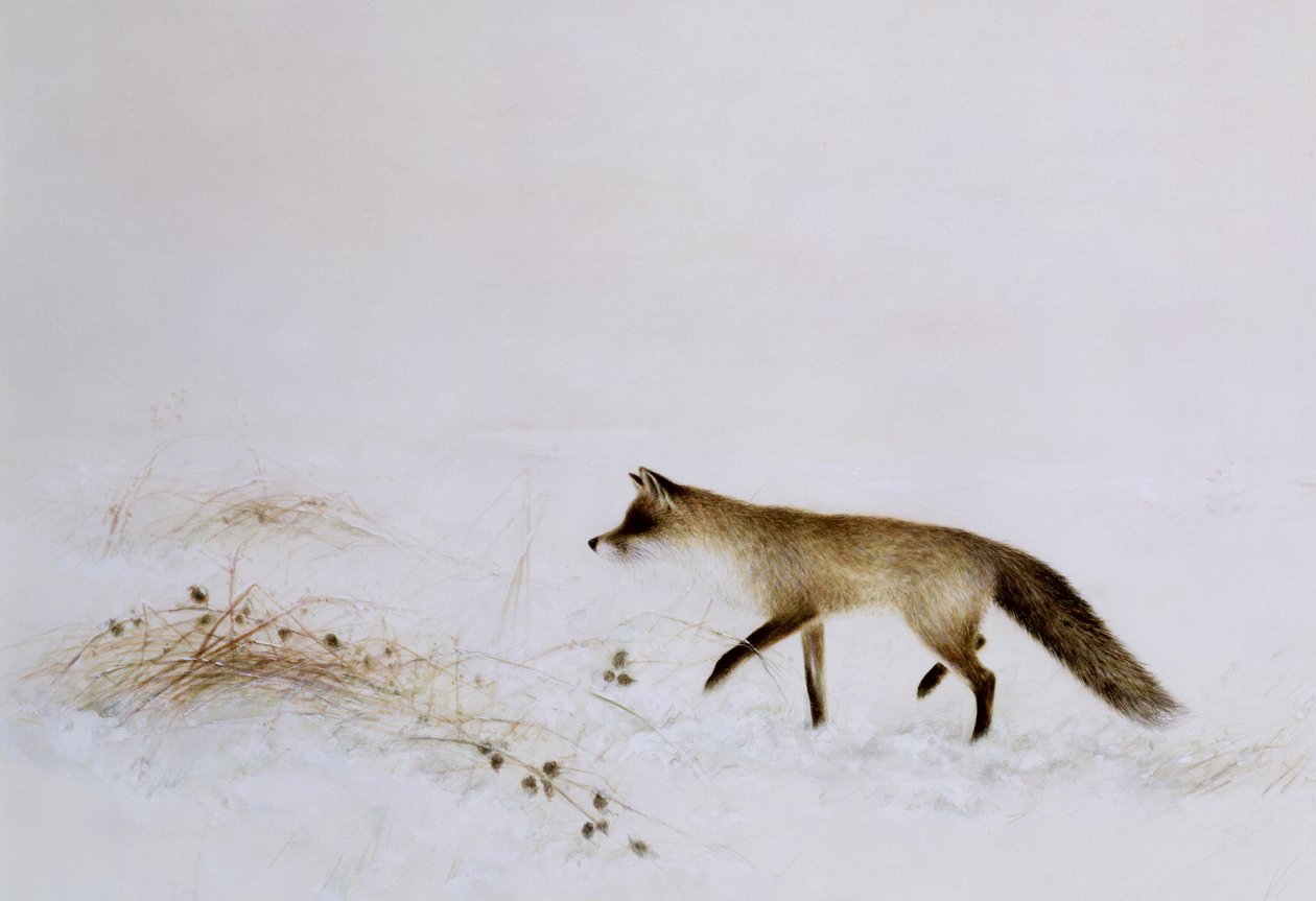 Räv i snö av Jane Neville